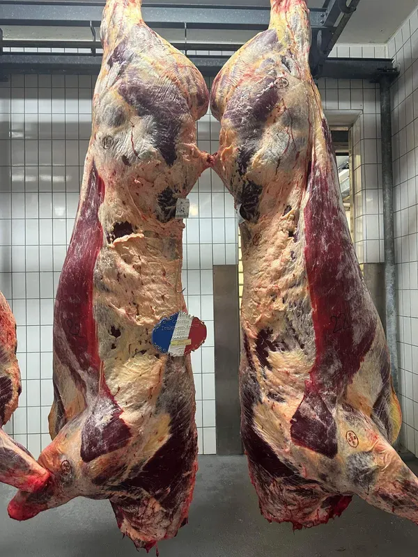 viande bovine