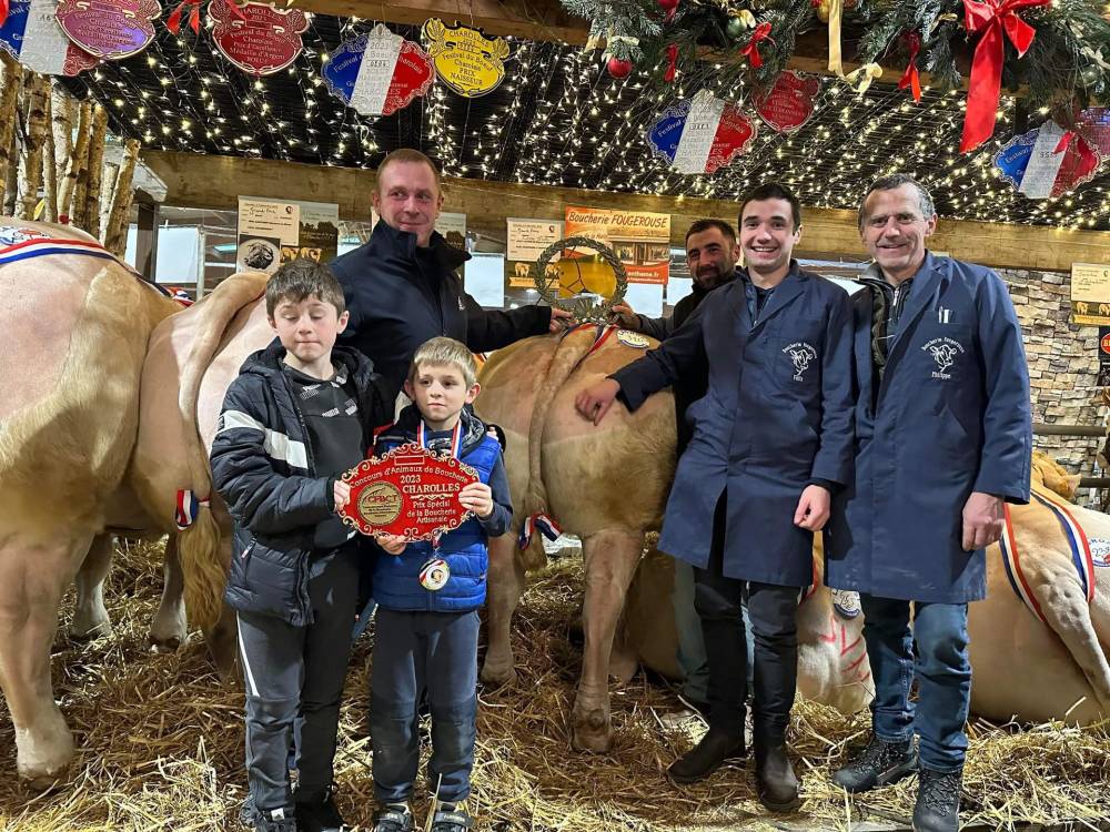 viande bovine